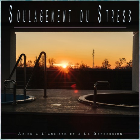 Musique de bien-être ft. Musique Relaxante pour Lutter Contre Le Stress & Expérience de Réduction du Stress