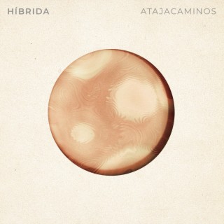 Hibrida