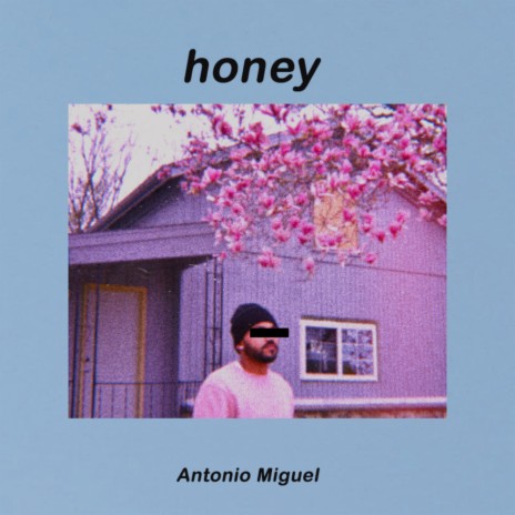 honey interlude | Boomplay Music