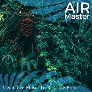Meditative Music to Rest the Brain