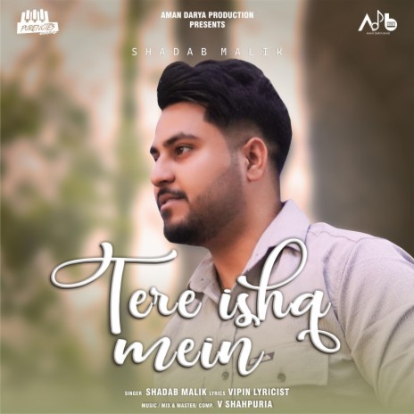 Tere Ishq Mein ft. Shadab Malik, Vipin Lyricist & V Shahpuria | Boomplay Music