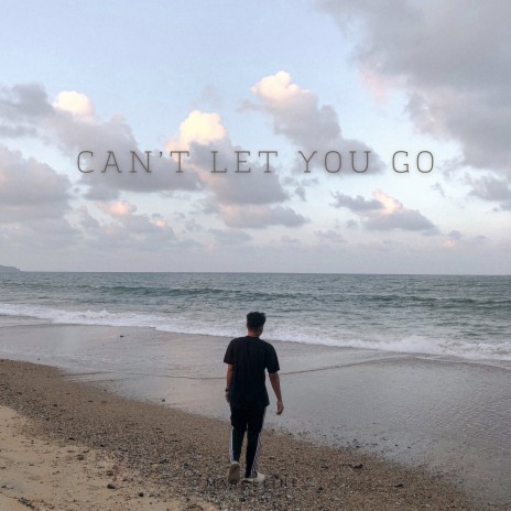 Can’t Let You Go | Boomplay Music