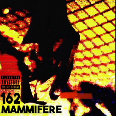 Mammifère | Boomplay Music