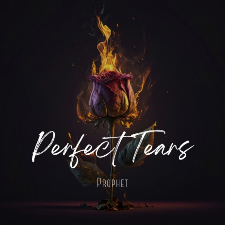 Perfect Tears | Boomplay Music