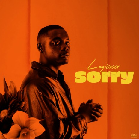 Sorry | Boomplay Music