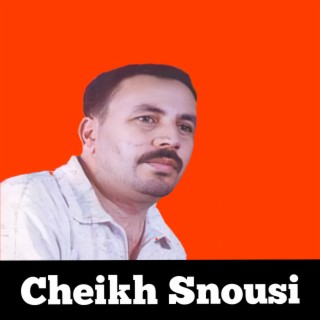 Cheikh Snousi