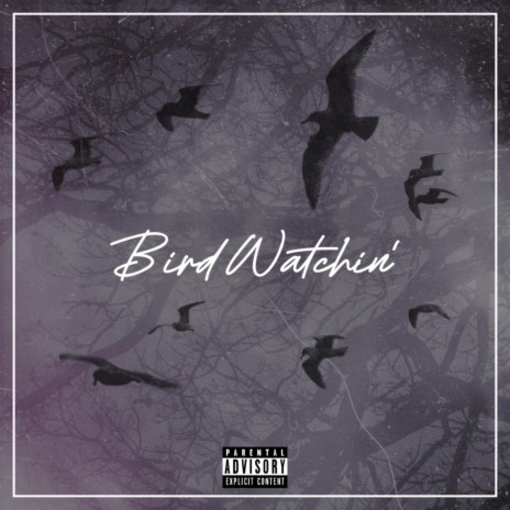 BIRD WATCHIN'