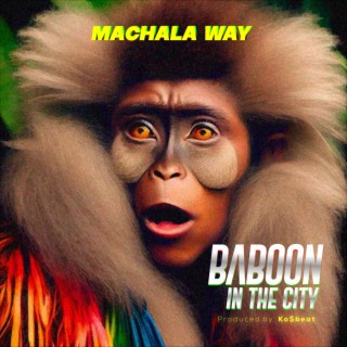 Baboon In The City