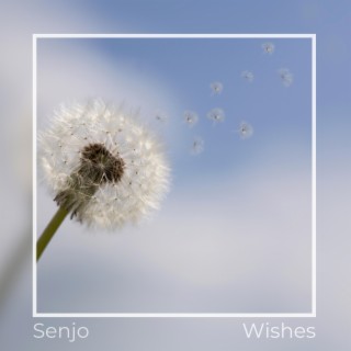 Wishes