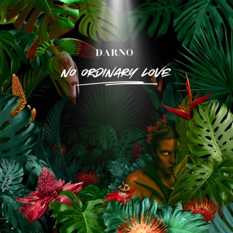 No Ordinary Love (AfroHouse Mix) | Boomplay Music