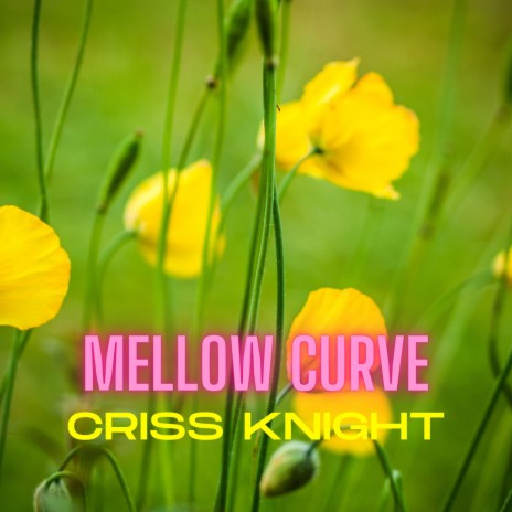 Mellow Curve | Boomplay Music