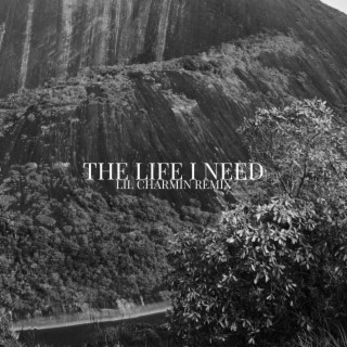 The Life I Need (Lil Charmin Remix)