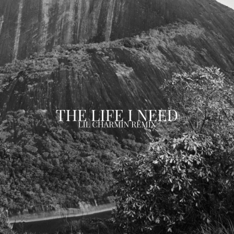 The Life I Need (Lil Charmin Remix) ft. Lil Charmin | Boomplay Music