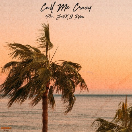 Call Me Crazy ft. JonFX & Kybba | Boomplay Music