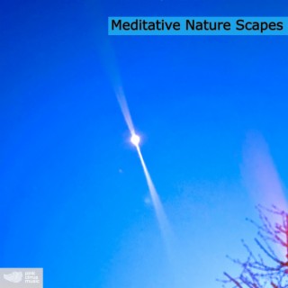 Meditative Nature Scapes