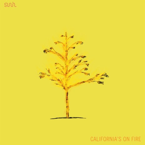 California's On Fire