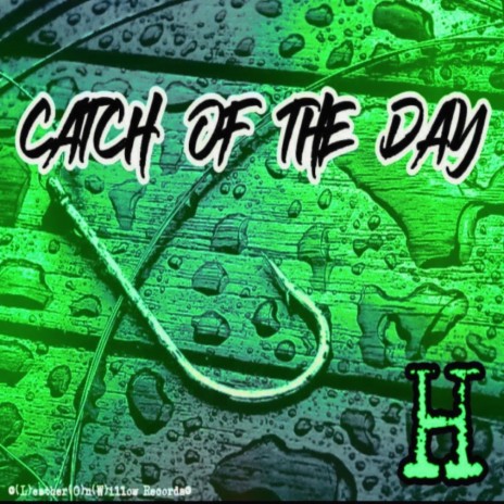 Catch of the Day | Boomplay Music