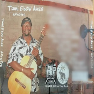 Tumi Ebow Ansa