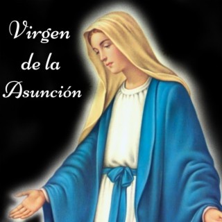 Oración a la Virgen de la Asunción por un Milagro de Salud