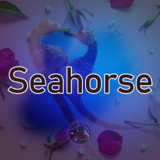 Seahorse