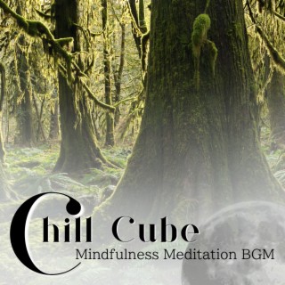 Mindfulness Meditation Bgm