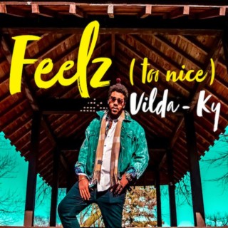 Feelz (Too Nice) lyrics | Boomplay Music