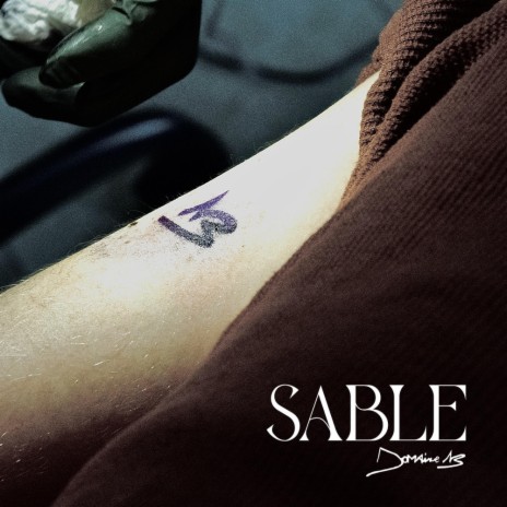 Sable | Boomplay Music