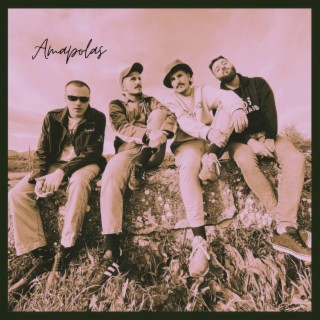 Amapolas lyrics | Boomplay Music