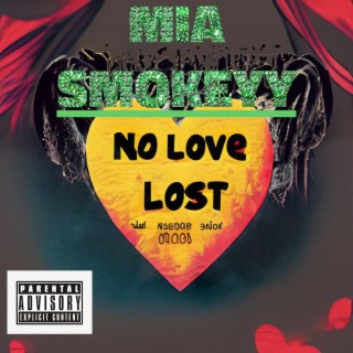 NO LOVE LOST