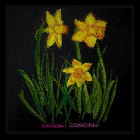 Daffodils | Boomplay Music