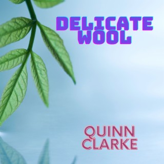 Delicate Wool