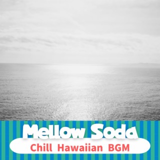 Chill Hawaiian Bgm