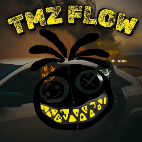 TMZ FLOW | Boomplay Music