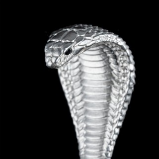 Cobra