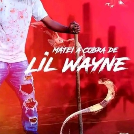 Matei A Cobra De Lil Weyne ft. LIL WEYNE DE MOZ | Boomplay Music
