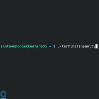 Terminal Insanity (feat. Simtoon)