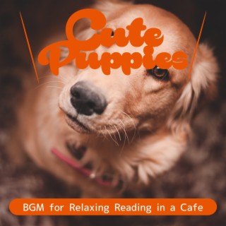 Bgm for Relaxing Reading in a Cafe