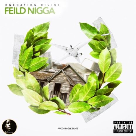 Feild Nigga | Boomplay Music