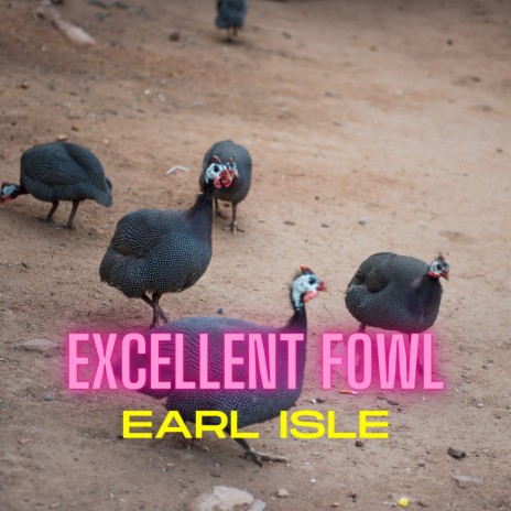 Excellent Fowl | Boomplay Music