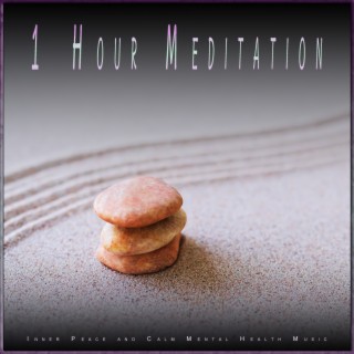 1 Hour Meditation: Inner Peace and Calm Mental Health Music