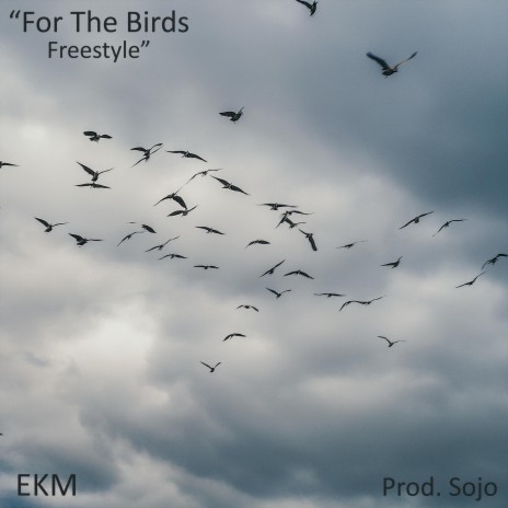 For The Birds | Boomplay Music