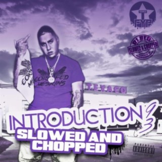 Introduction 93 slowed and chopped