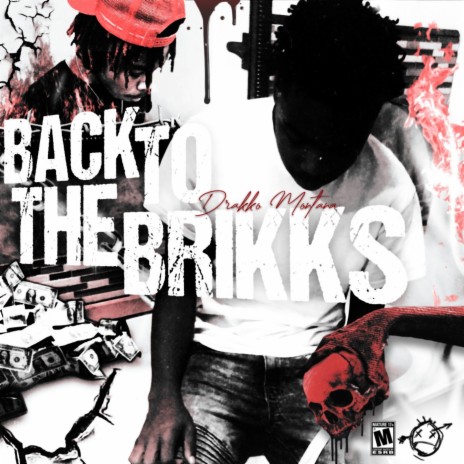 Back To The Brikks | Boomplay Music