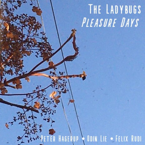 The Lady and the Bug | Boomplay Music