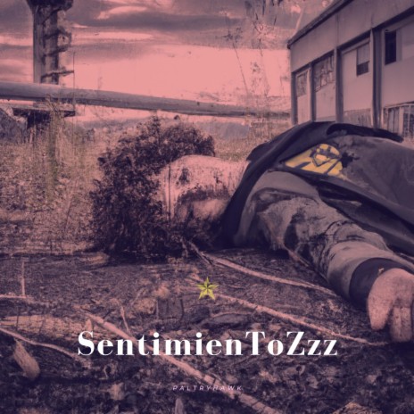 SentimienToZzz | Boomplay Music