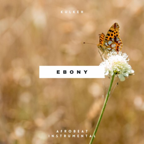 Ebony | Boomplay Music
