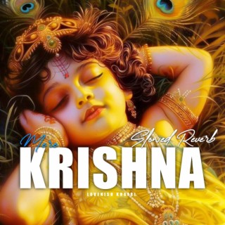 Mere Krishna (Slowed Reverb)