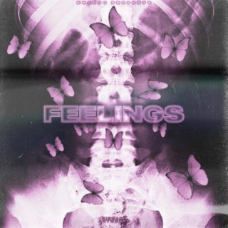 Feelings