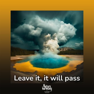 Leave it, it will pass