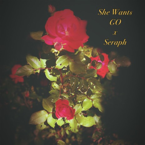 She Wants ft. Seraph | Boomplay Music